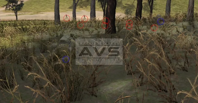AVS simulation screenshot 2